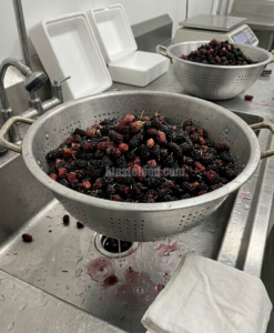 mulberries