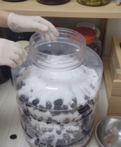 mulberries