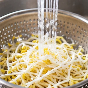 Fresh soybean sprouts, the main ingredient for Korean kongnamul guk
